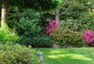 Allendale Eastlandscape-gardener-46.jpg; ?>